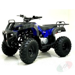 Quad ATV 10 200cc 8"