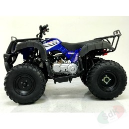Quad ATV 06 125cc 8" LED Automatico + Retro