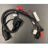 CABLAGGIO IMPIANTO ELETTRICO PIT BIKE KAYO TT190R 190cc ZS190